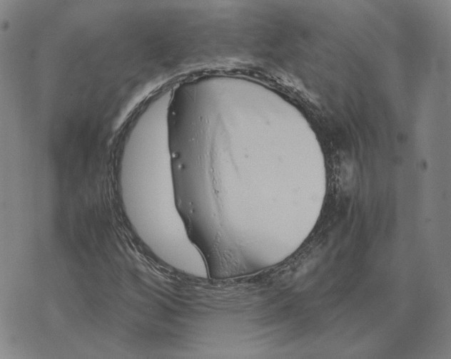 X0000076271256200610191730