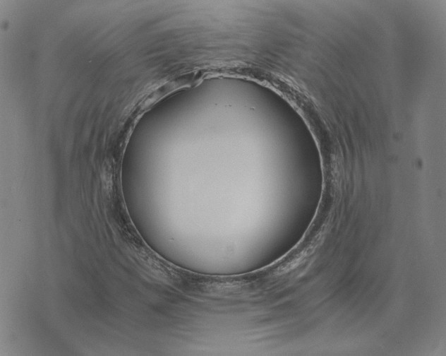 X0000076271257200610191730