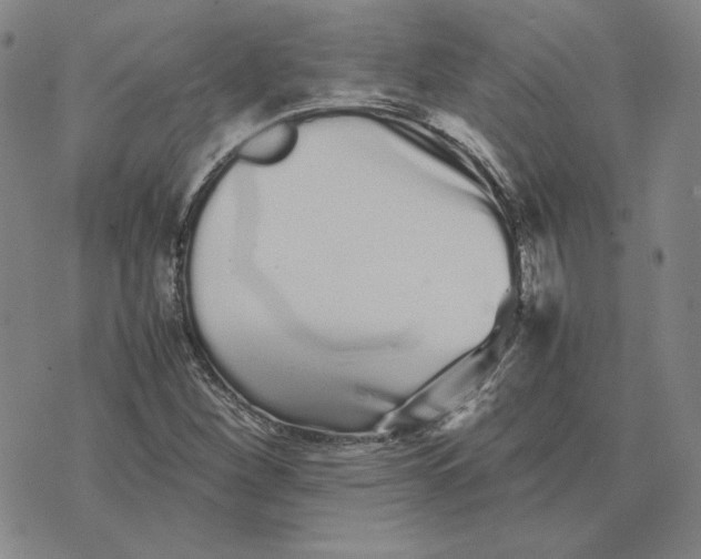 X0000076271260200610191730