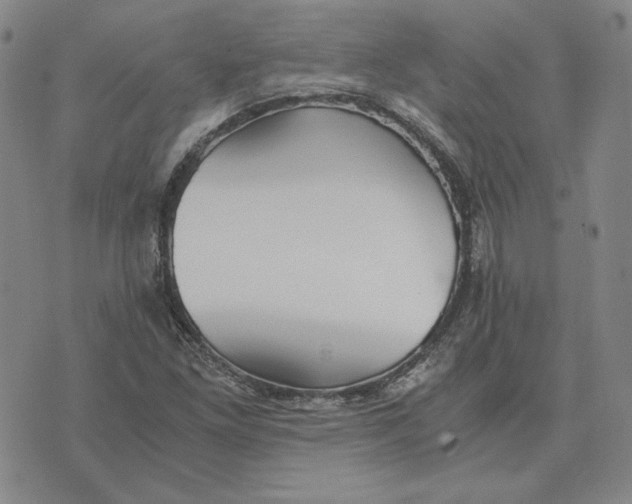 X0000076271261200610191730