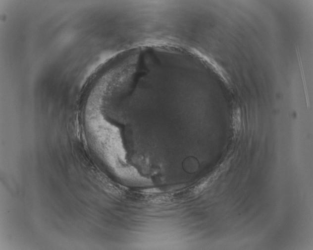 X0000076271262200610191730