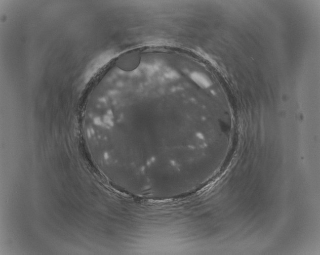 X0000076271263200610191730