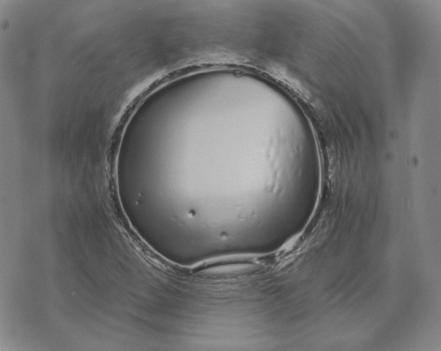 X0000076271264200610191730