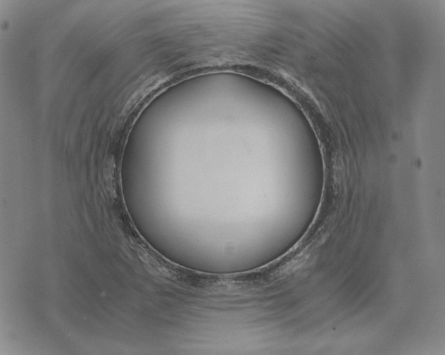 X0000076271265200610191730