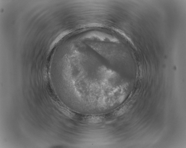 X0000076271266200610191730