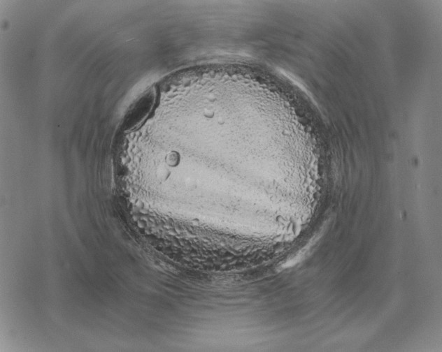 X0000076271267200610191730