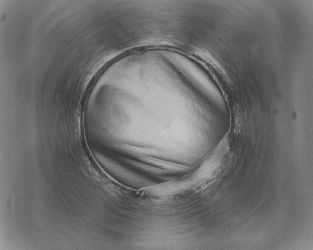 X0000076271268200610191730