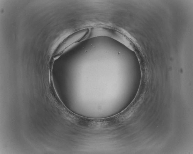 X0000076271269200610191730