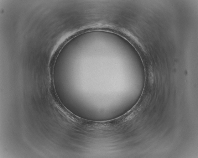 X0000076271270200610191730