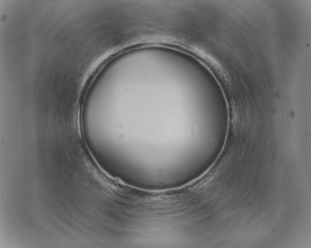 X0000076271272200610191730