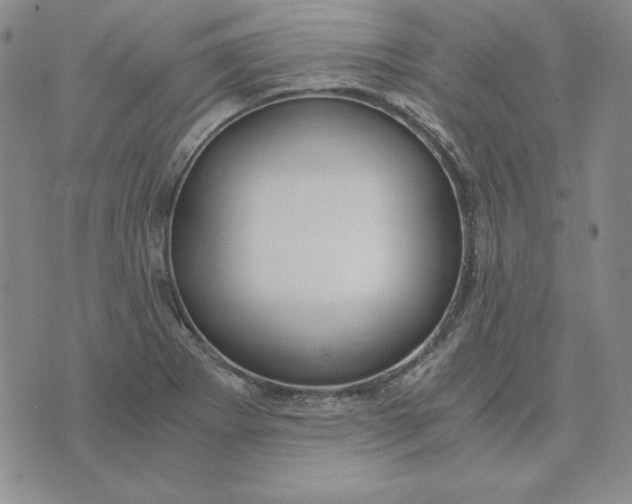 X0000076271273200610191730