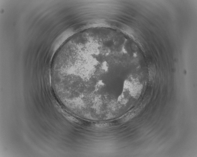 X0000076271274200610191730