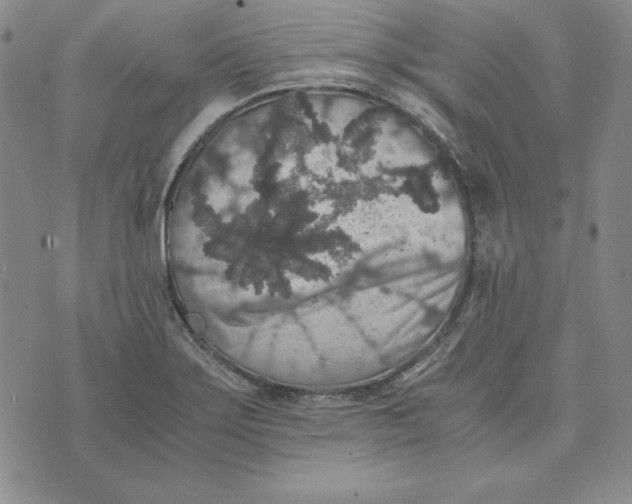 X0000076271275200610191730