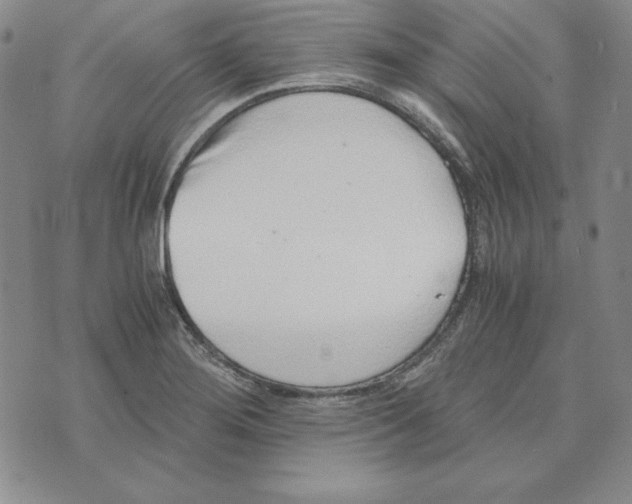 X0000076271276200610191730