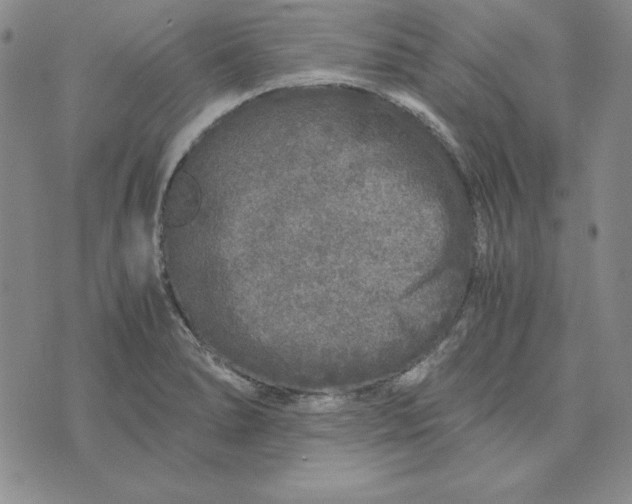 X0000076271278200610191730