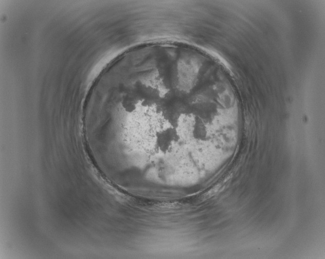 X0000076271279200610191730