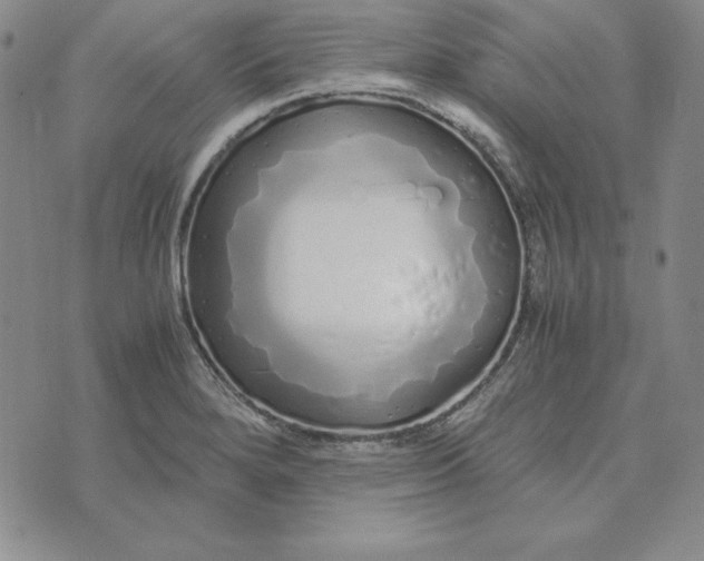 X0000076271280200610191730