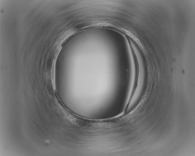 X0000076271281200610191730