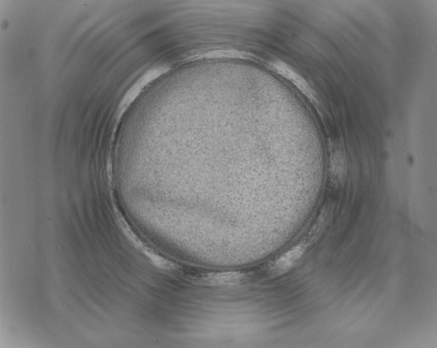 X0000076271282200610191730