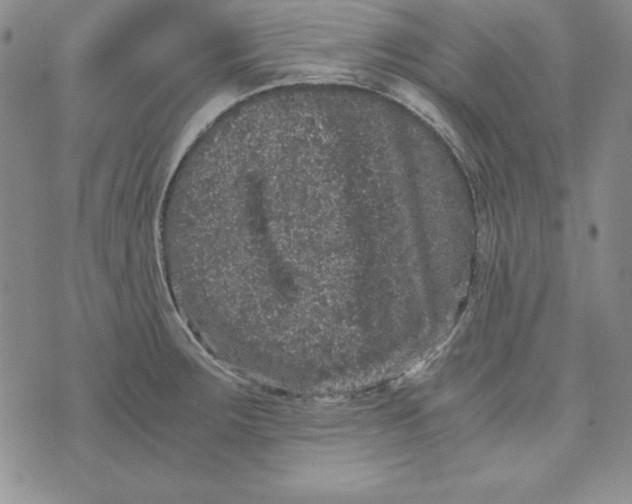 X0000076271283200610191730