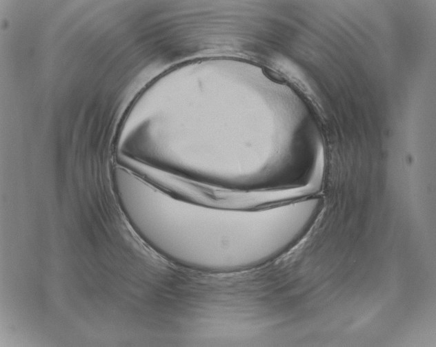 X0000076271284200610191730