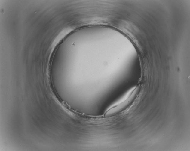 X0000076271285200610191730