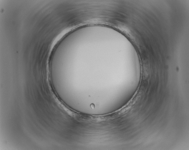 X0000076271286200610191730