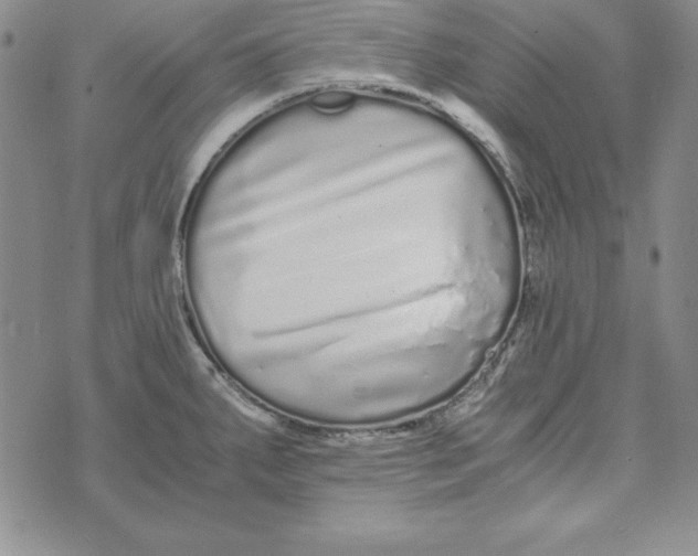 X0000076271287200610191730