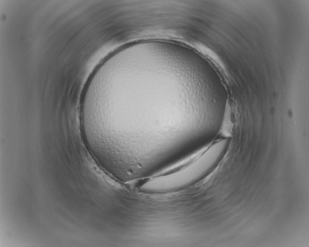 X0000076271288200610191730