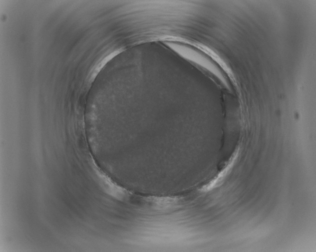 X0000076271289200610191730