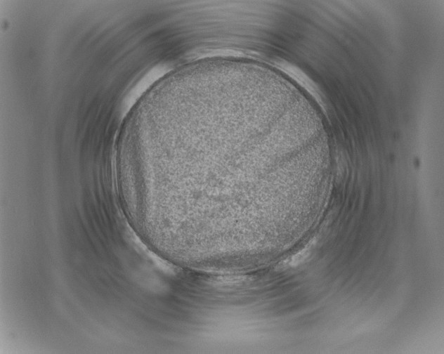 X0000076271290200610191730