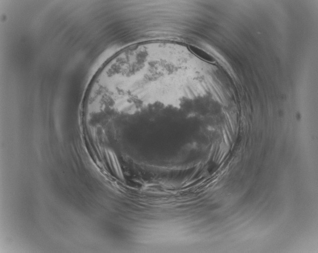 X0000076271291200610191730