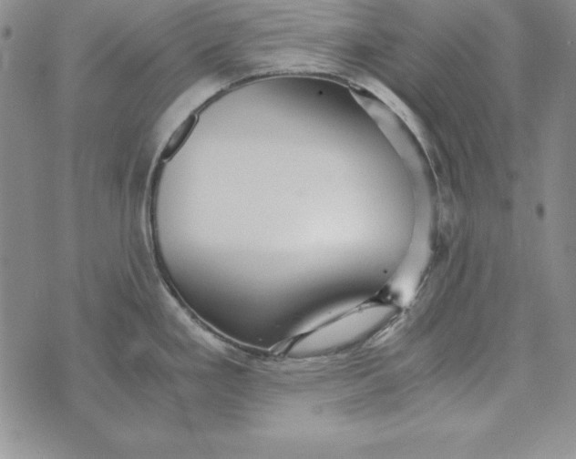 X0000076271293200610191730