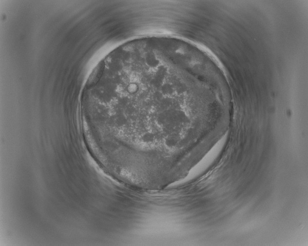 X0000076271295200610191730