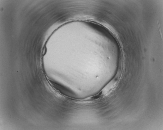 X0000076271296200610191730