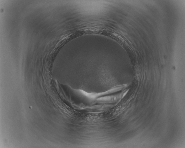 X0000076271297200610191729