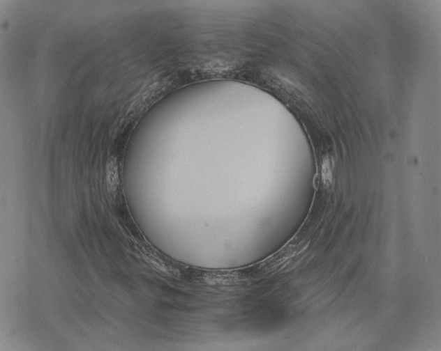 X0000076271299200610191729