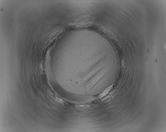 X0000076271300200610191729