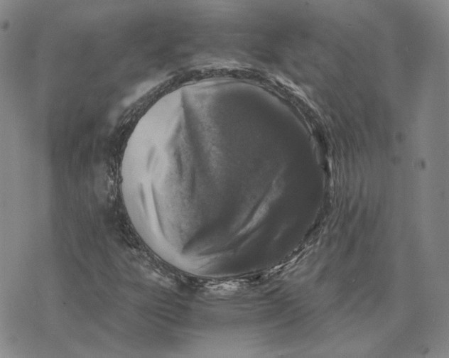 X0000076271303200610191729