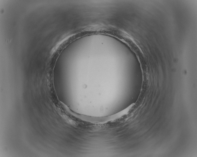 X0000076271304200610191729