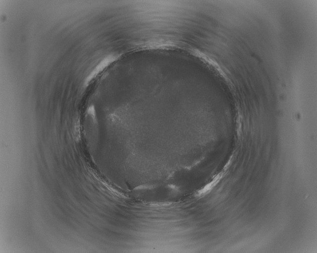 X0000076271306200610191729