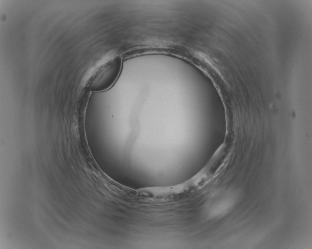 X0000076271307200610191729