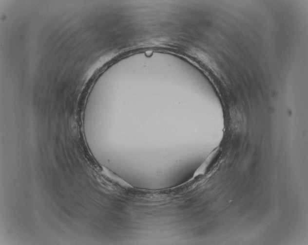 X0000076271308200610191729