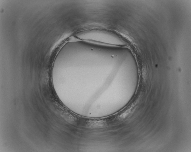 X0000076271309200610191729