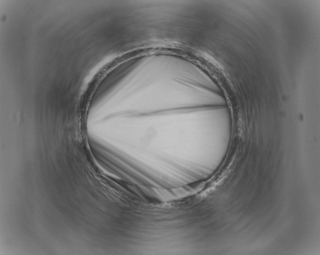 X0000076271310200610191729