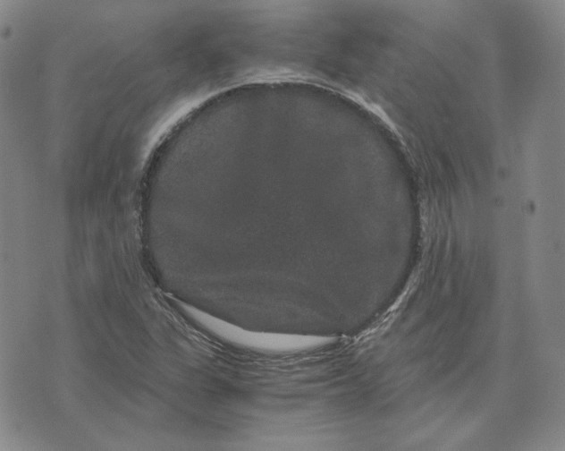 X0000076271311200610191729