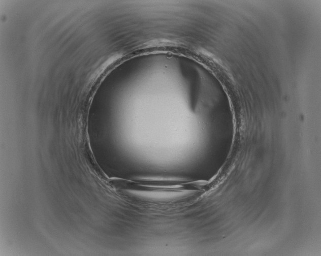 X0000076271313200610191729