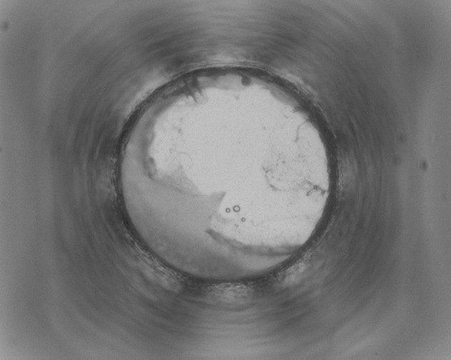 X0000076271314200610191729