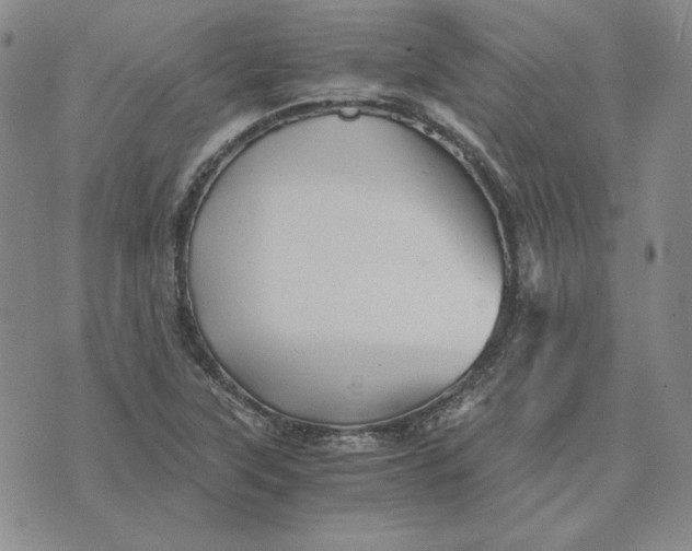 X0000076271315200610191729