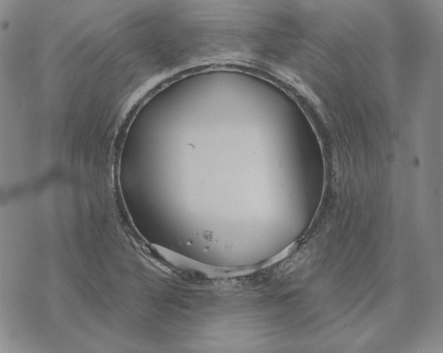 X0000076271316200610191729